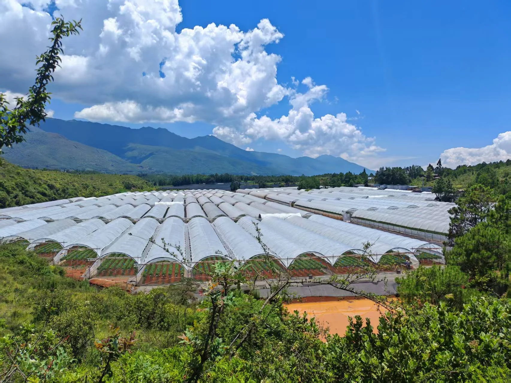丽江七河基地